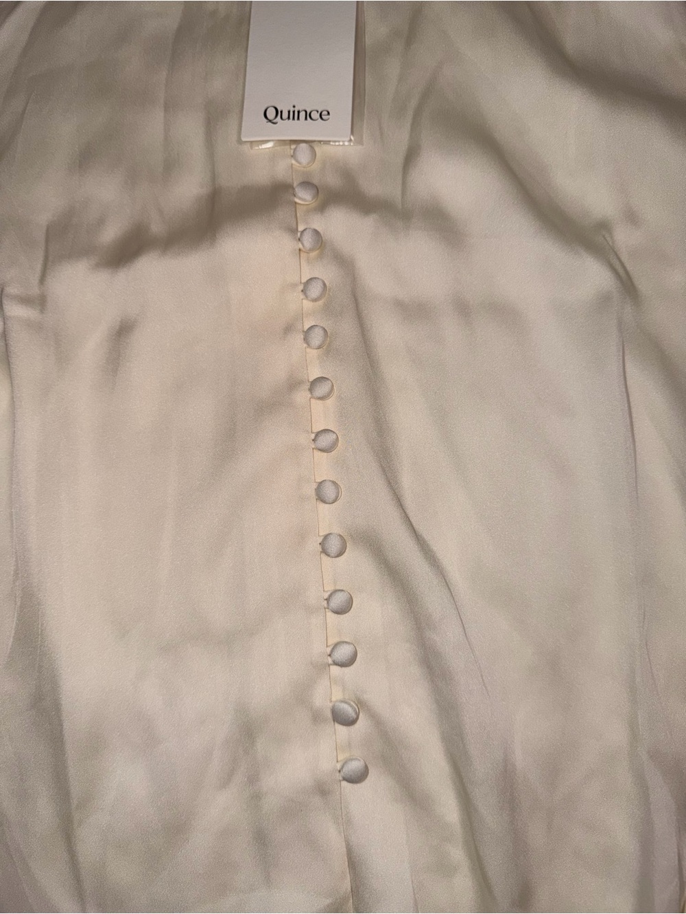 Quince Cream Silk Button-Down Blouse - Picture 4 of 8